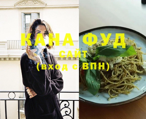 гашик Апатиты