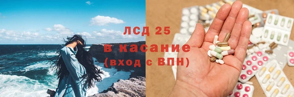 гашик Апатиты
