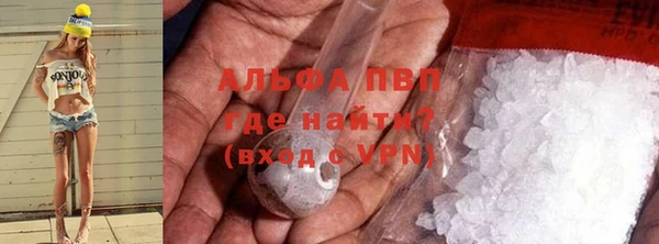 PSILOCYBIN Анива