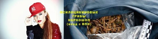 ешки Кукмор