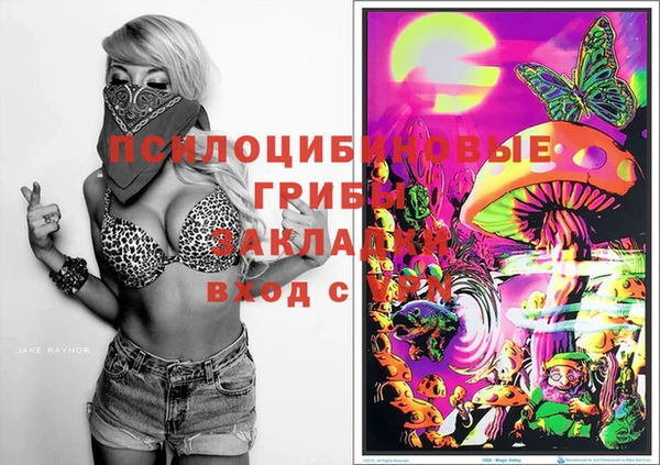 ешки Кукмор