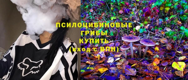 гашик Апатиты