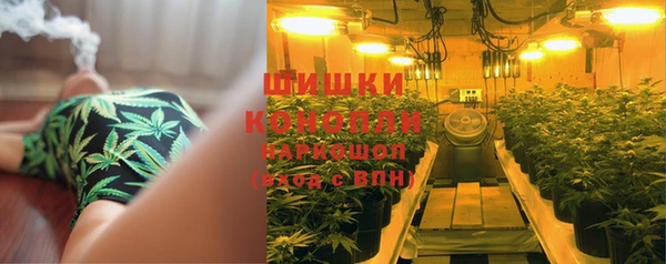 ГАЛЛЮЦИНОГЕННЫЕ ГРИБЫ Куйбышев