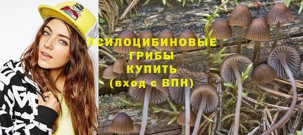 соль ск Анжеро-Судженск