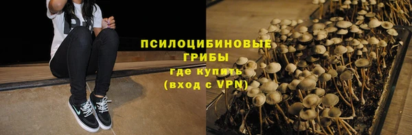 соль ск Анжеро-Судженск