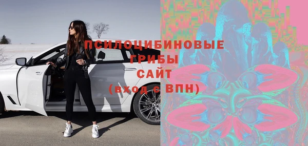 соль ск Анжеро-Судженск
