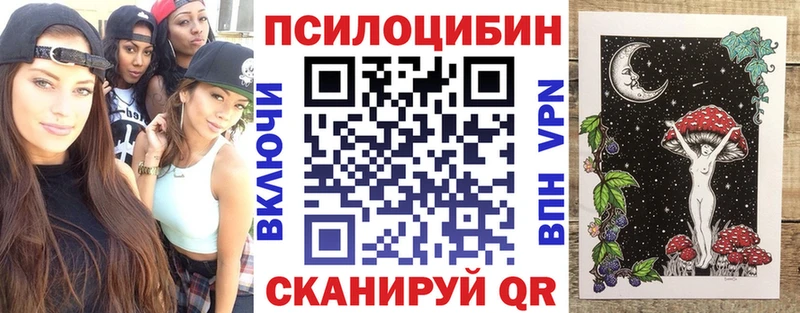 Галлюциногенные грибы мицелий  Купить  Валдай 